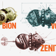 Illustration for article titled Russias Spaceship For Animals Is The Original Manned Spacecraft